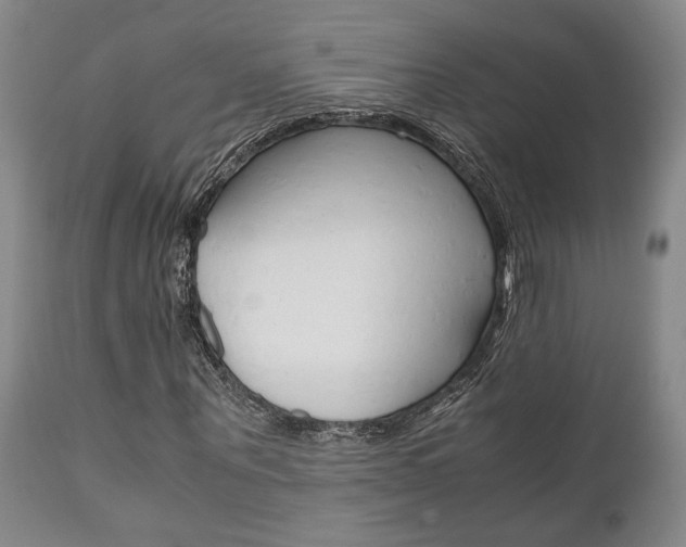 X0000111010867200906191205