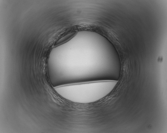 X0000111010868200906191205