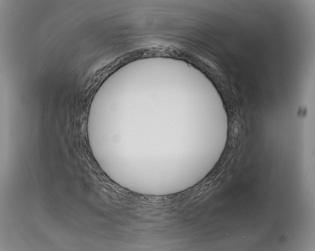 X0000111010869200906191205