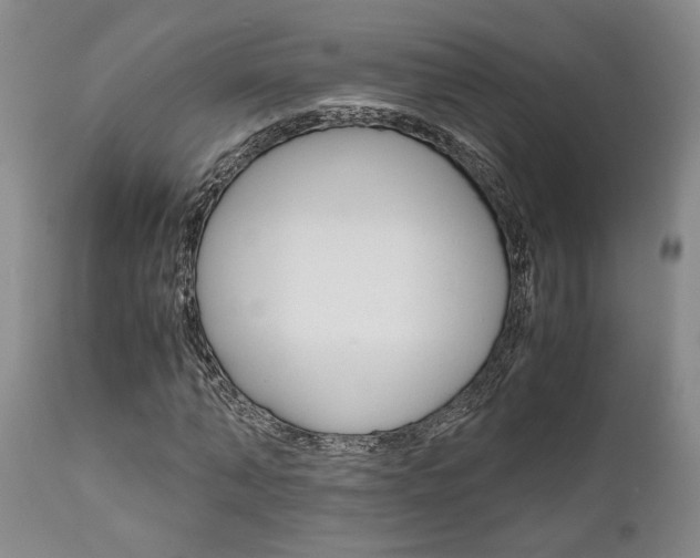 X0000111010870200906191205