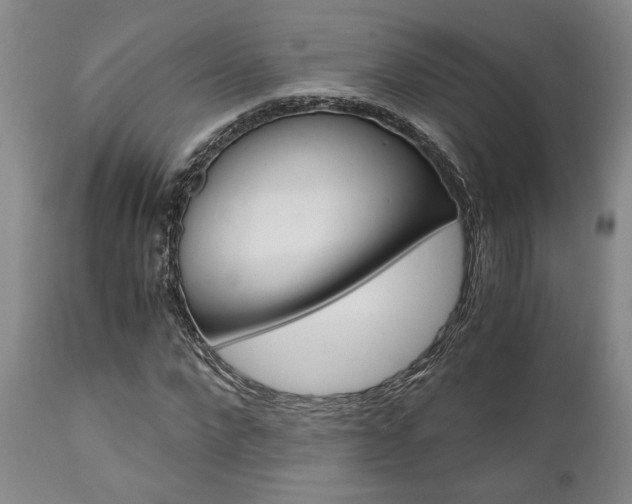 X0000111010872200906191205