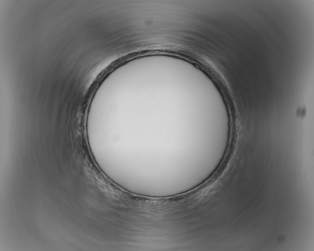 X0000111010875200906191205