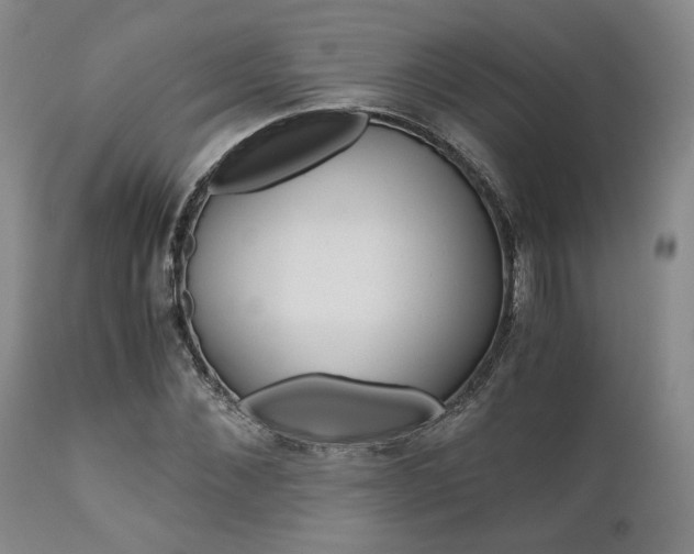 X0000111010876200906191205