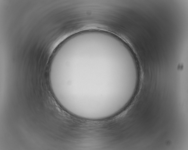 X0000111010877200906191205