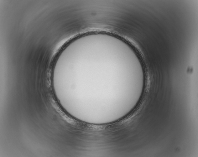 X0000111010878200906191205