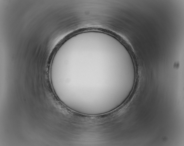 X0000111010879200906191205