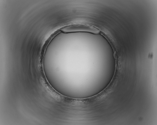 X0000111010880200906191205