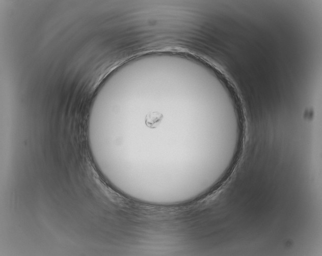 X0000111010881200906191205