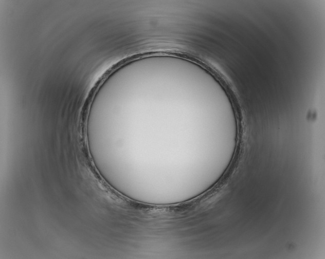 X0000111010883200906191205