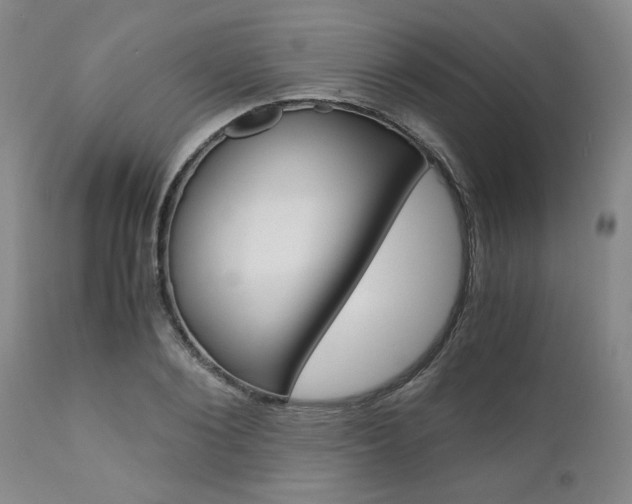 X0000111010884200906191205