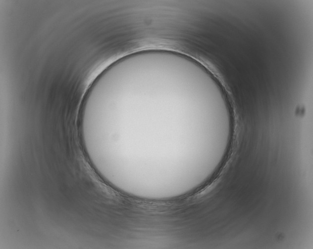 X0000111010885200906191205