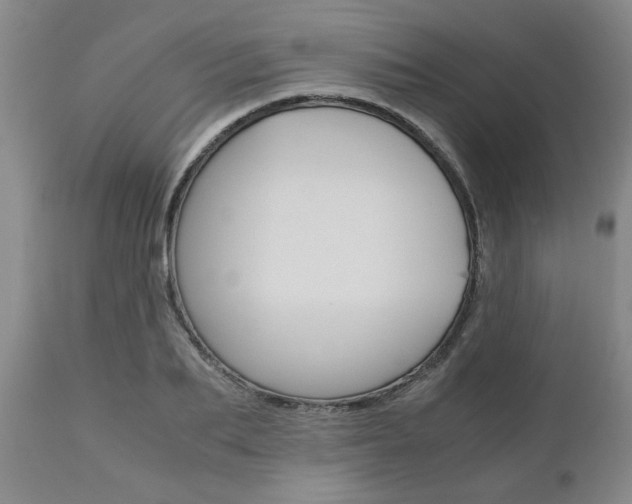X0000111010887200906191205