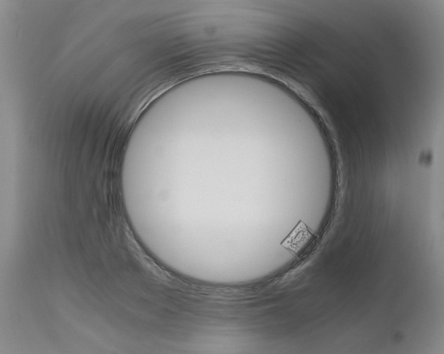 X0000111010889200906191205