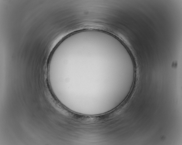X0000111010891200906191205