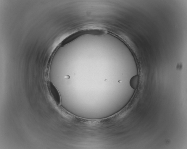 X0000111010893200906191205