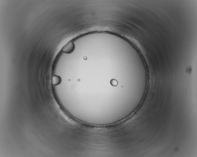 X0000111010894200906191205