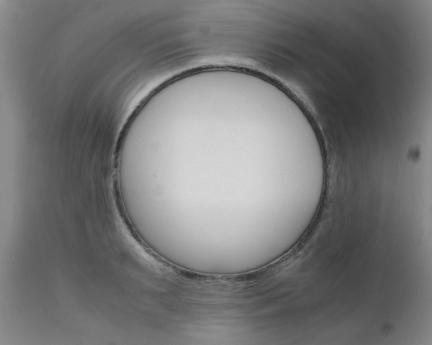 X0000111010895200906191205
