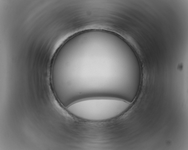 X0000111010896200906191205
