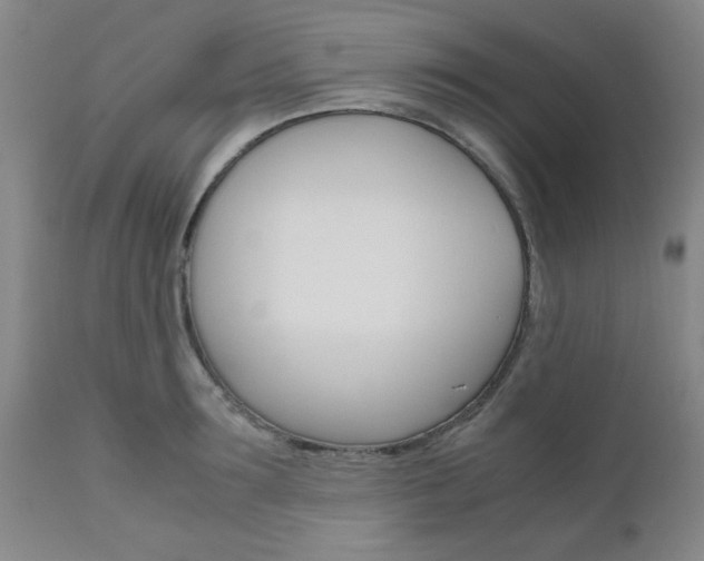 X0000111010899200906191205