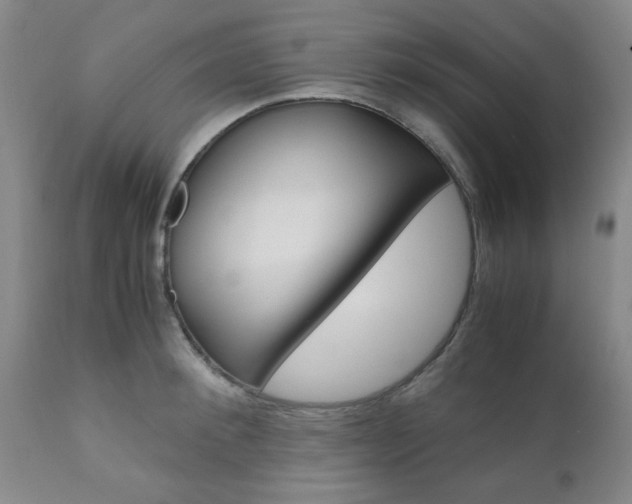 X0000111010900200906191205