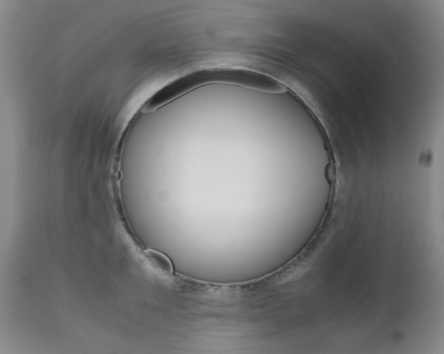X0000111010901200906191205