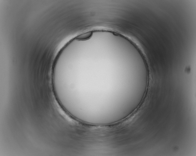 X0000111010902200906191205