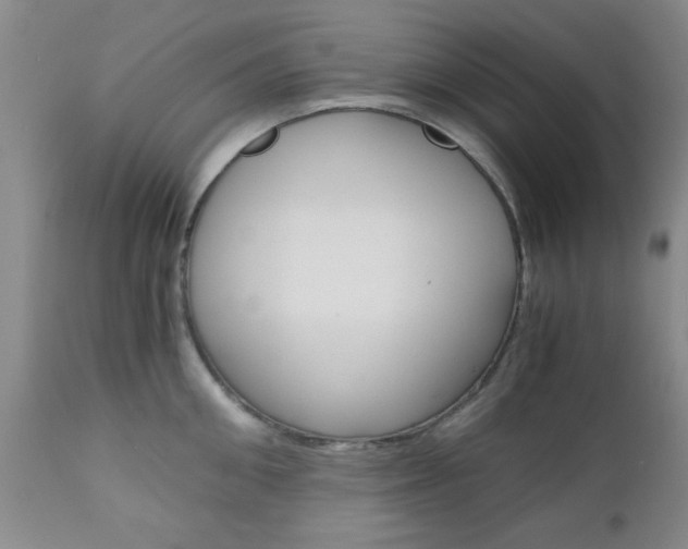 X0000111010906200906191205