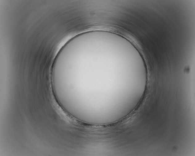 X0000111010907200906191205