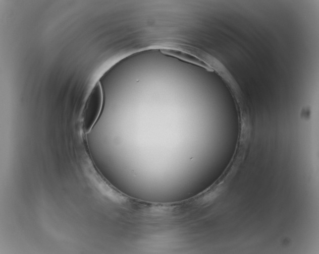 X0000111010908200906191205