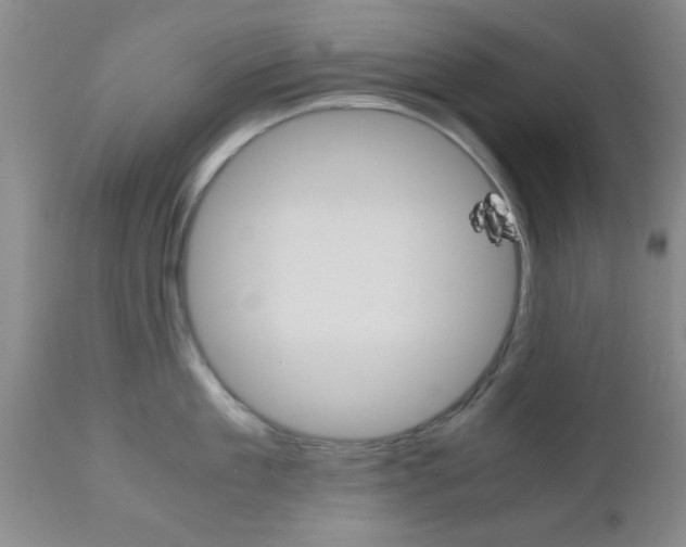 X0000111010909200906191205