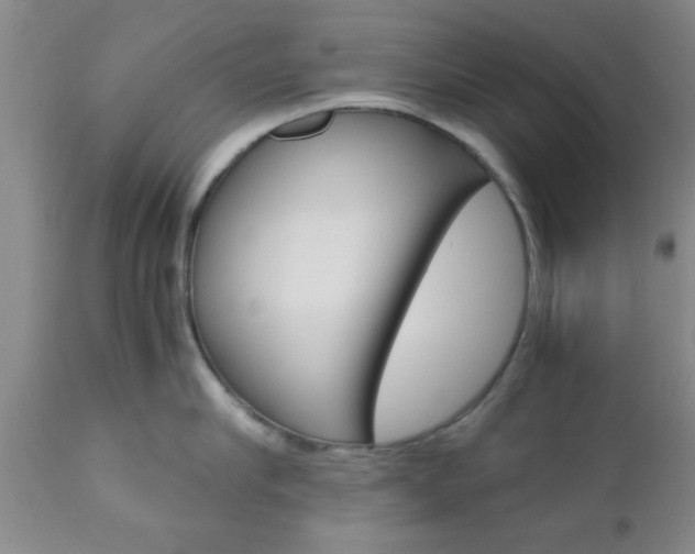 X0000111010910200906191205