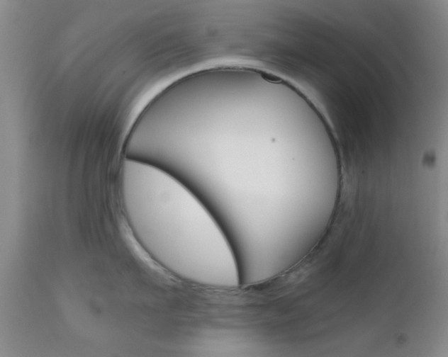 X0000111010911200906191205