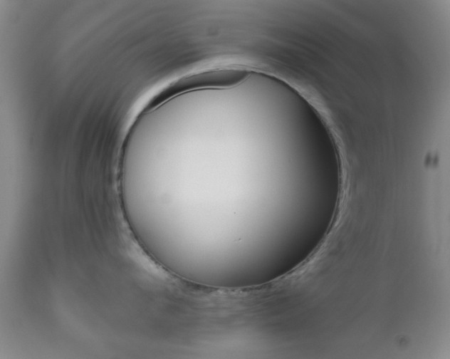 X0000111010912200906191205