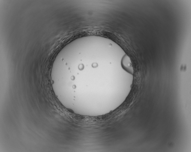 X0000111010913200906191204