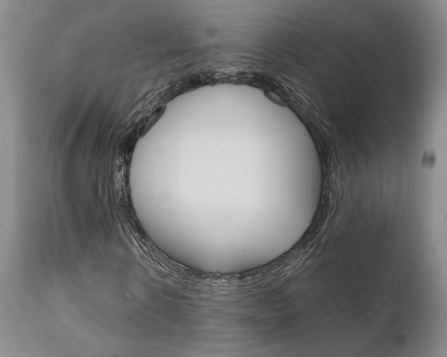 X0000111010914200906191204