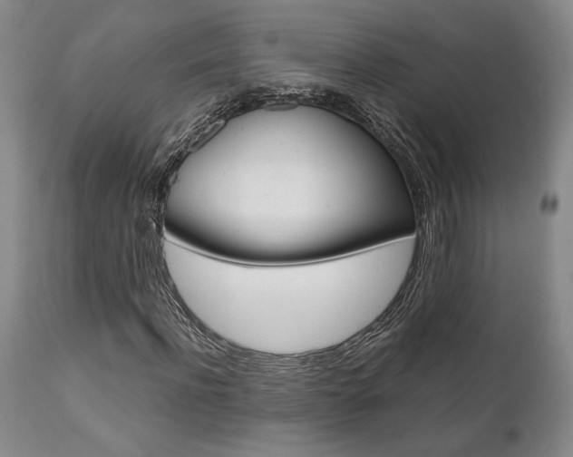 X0000111010916200906191204