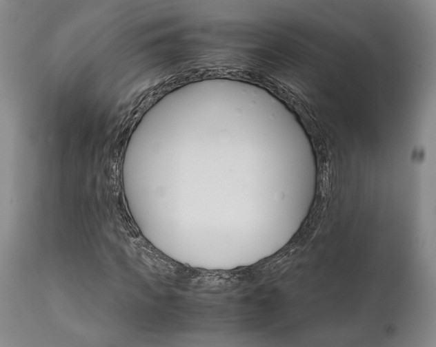 X0000111010917200906191204