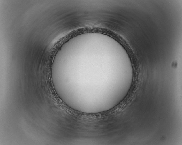 X0000111010919200906191204