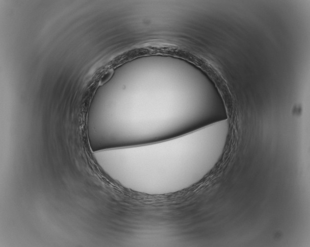 X0000111010920200906191204