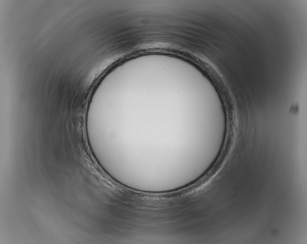 X0000111010921200906191204