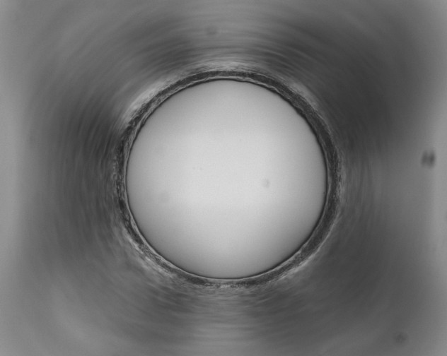 X0000111010922200906191204