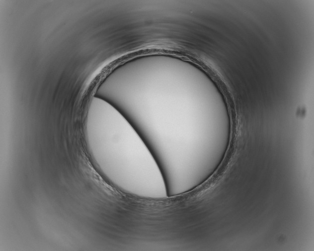 X0000111010923200906191204