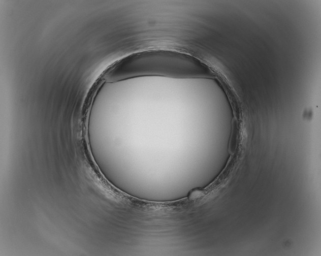 X0000111010924200906191204