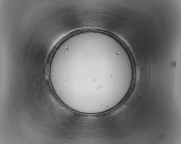 X0000111010925200906191204
