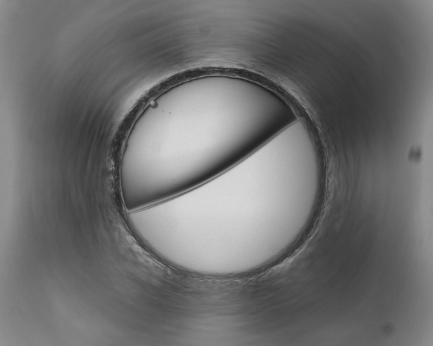 X0000111010926200906191204