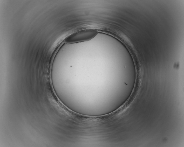 X0000111010930200906191204
