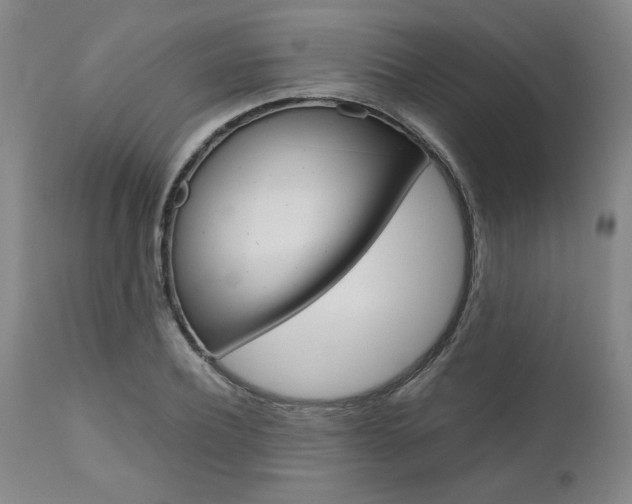 X0000111010932200906191204