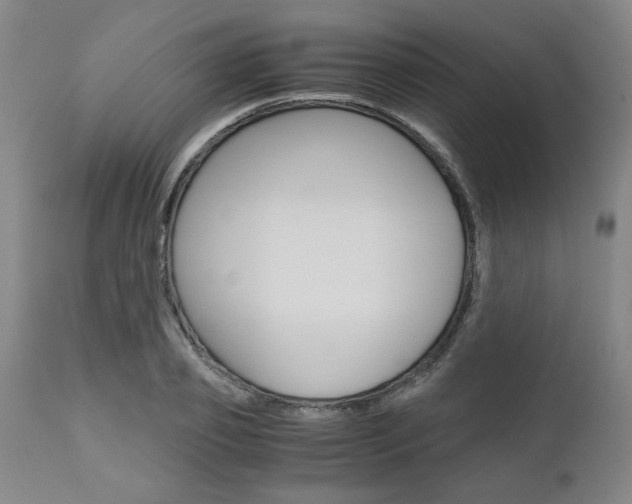 X0000111010933200906191204