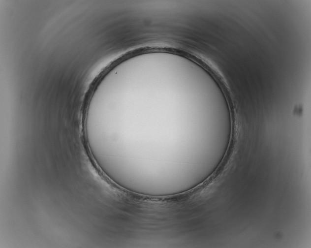 X0000111010935200906191204