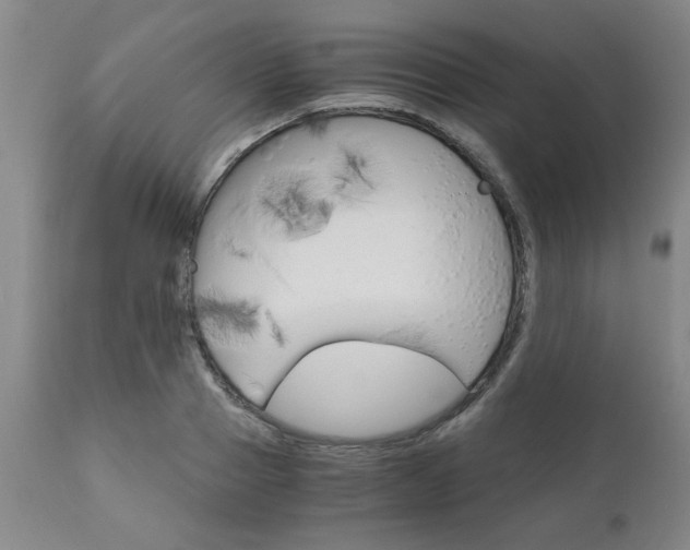 X0000111010937200906191204